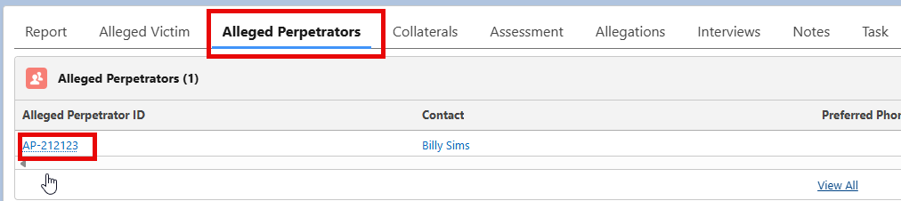 Screenshot of the AP tab and AP record