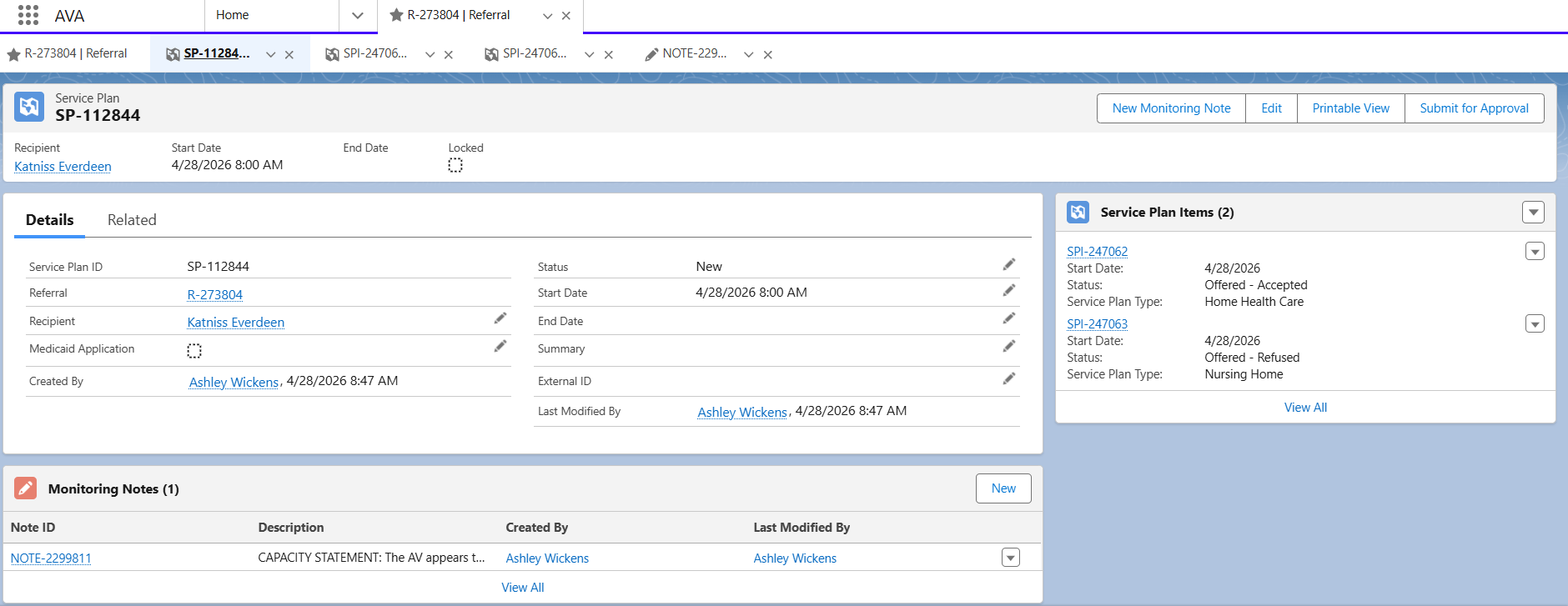 Image of Service Plan, including completed “Cover Page,” completed Service Plan Items, and a capacity statement in the Service Plan Monitoring Notes section.)