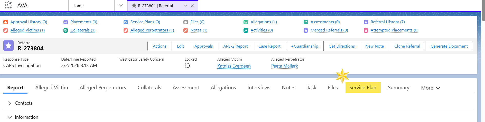 Image of Report tab of Referral with Service Plan highlighted.