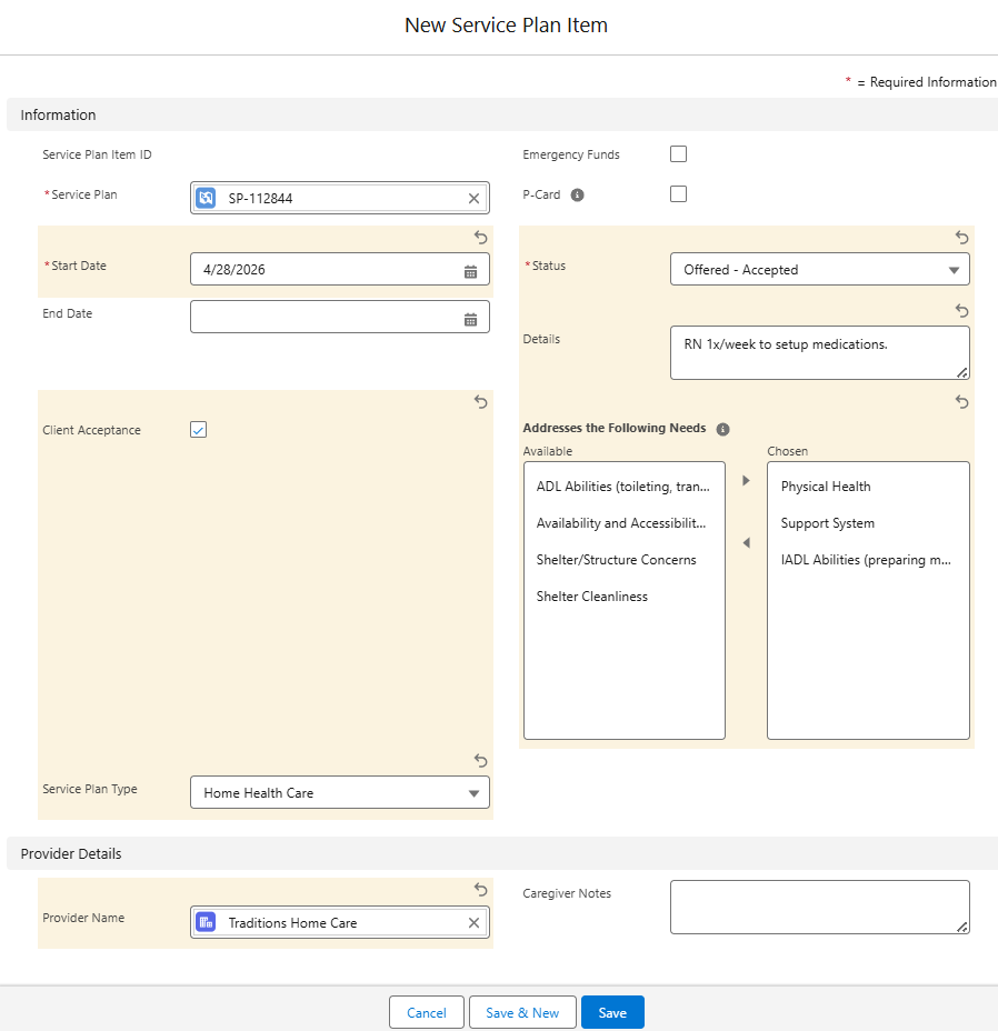 Image of Service Plan Item with all fields completed.