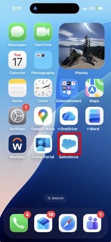 Salesforce mobile app icon